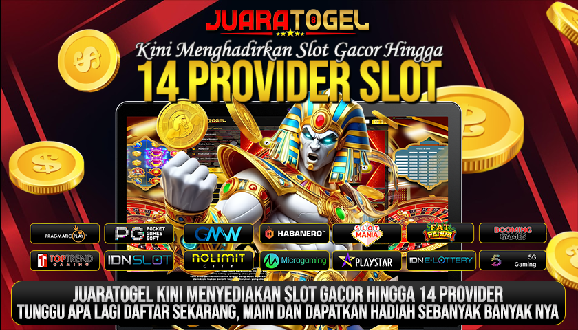 14 PROVIDER JUARATOGEL	